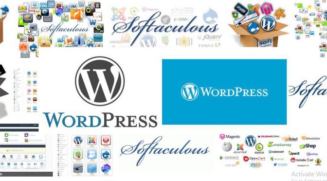 WordPress and Softaculous Issues